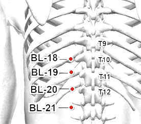 Location of BL-20 (Pishu)